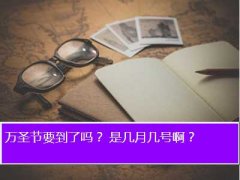 2013ʥ,ʥҪ Ǽ¼Ű